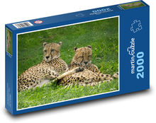 Gepard - divá mačka, zviera Puzzle 2000 dielikov - 90 x 60 cm