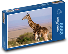 Žirafa - zvíře, savana Puzzle 2000 dílků - 90 x 60 cm