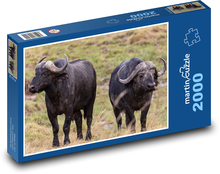 Byvol - zviera. Afrika Puzzle 2000 dielikov - 90 x 60 cm