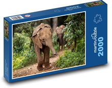 Slon - zvíře, slůně Puzzle 2000 dílků - 90 x 60 cm