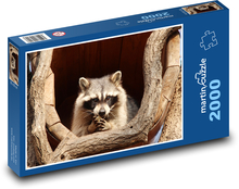 Waschbär - Säugetier, Tier Puzzle 2000 Teile - 90 x 60 cm