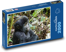Gorilla - der größte Primat Puzzle 2000 Teile - 90 x 60 cm