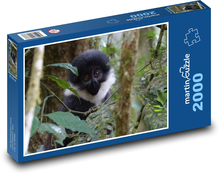 Affe - Natur, Uganda Puzzle 2000 Teile - 90 x 60 cm