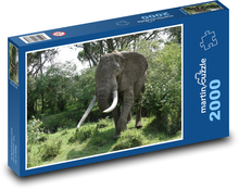 Slon - zvíře, příroda Puzzle 2000 dílků - 90 x 60 cm