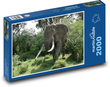 Elefant - Tier, Natur Puzzle 2000 Teile - 90 x 60 cm