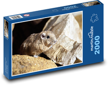 Gundi - Sahara, hlodavec Puzzle 2000 dílků - 90 x 60 cm