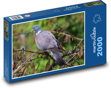 Taube - Vogel, Tier Puzzle 2000 Teile - 90 x 60 cm