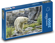 Lední medvěd - zoo, zvíře Puzzle 2000 dílků - 90 x 60 cm