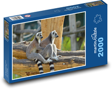 Lemur - opice, zvíře Puzzle 2000 dílků - 90 x 60 cm