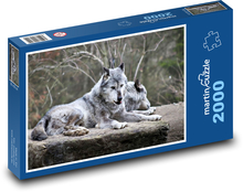 Wolf - wildes Tier, Natur Puzzle 2000 Teile - 90 x 60 cm