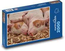 Schlafende Ferkel - Hausschwein, Bauernhof Puzzle 2000 Teile - 90 x 60 cm