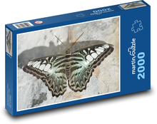 Motýľ - okrídlený hmyz, fauna Puzzle 2000 dielikov - 90 x 60 cm