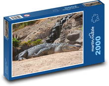 Krokodyl - spanie na plaży Puzzle 2000 elementów - 90x60 cm