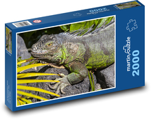 Leguan - Eidechse, Reptil Puzzle 2000 Teile - 90 x 60 cm