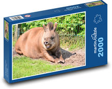 Tapír - zoo, zviera Puzzle 2000 dielikov - 90 x 60 cm