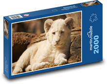 Lev - mládě, zvíře Puzzle 2000 dílků - 90 x 60 cm