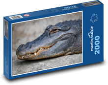 Aligátor - krokodýl, plaz Puzzle 2000 dílků - 90 x 60 cm