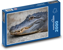 Alligator - Krokodil, Reptil Puzzle 2000 Teile - 90 x 60 cm