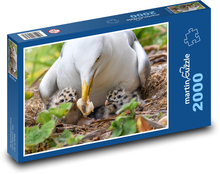 Racek - pták, kuře Puzzle 2000 dílků - 90 x 60 cm