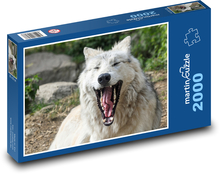 Yawning wolf - fangs, muzzle Puzzle 2000 pieces - 90 x 60 cm
