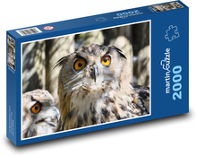 Sowa - ptak, oczy Puzzle 2000 elementów - 90x60 cm