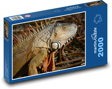 Leguan - Reptil, Tier Puzzle 2000 Teile - 90 x 60 cm