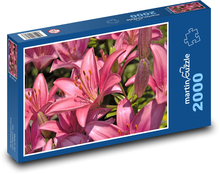 Rosa Lilie - Blume, Blumen Puzzle 2000 Teile - 90 x 60 cm
