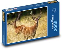 Jelen a laň - les, zvířata Puzzle 2000 dílků - 90 x 60 cm