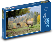 Příroda - jelen, zvíře Puzzle 2000 dílků - 90 x 60 cm