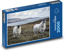 Schaf - Tier, Wolle Puzzle 2000 Teile - 90 x 60 cm