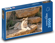 Divoká zvěř - lvíče Puzzle 2000 dílků - 90 x 60 cm