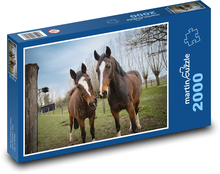 Brown horses - stallion, mare Puzzle 2000 pieces - 90 x 60 cm