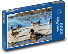 Kachny, jezero, led Puzzle 2000 dílků - 90 x 60 cm