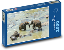 Slony - Srí Lanka, zviera Puzzle 2000 dielikov - 90 x 60 cm
