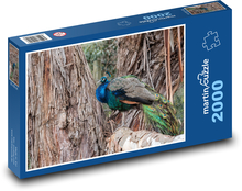 Páv - pták, peří Puzzle 2000 dílků - 90 x 60 cm