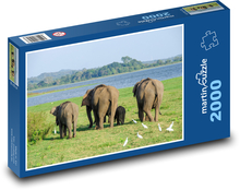 Slon indický - Srí Lanka, zviera Puzzle 2000 dielikov - 90 x 60 cm