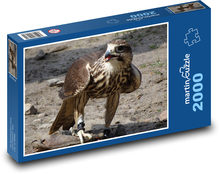 Bussard - Vogel, Raubtier Puzzle 2000 Teile - 90 x 60 cm