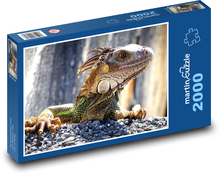Leguán - jašterica, divá zver Puzzle 2000 dielikov - 90 x 60 cm