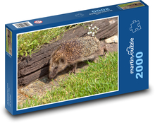 Igel - Tier, Garten Puzzle 2000 Teile - 90 x 60 cm