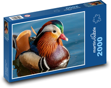 Mandarin duck - river, lake Puzzle 2000 pieces - 90 x 60 cm