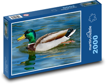 Krzyżówka - kaczka, zwierzę wodne Puzzle 2000 elementów - 90x60 cm