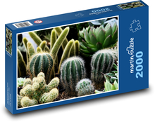 Kakteen - Zimmerpflanzen, Blumen Puzzle 2000 Teile - 90 x 60 cm