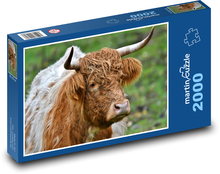 Krava - rohy, cicavec Puzzle 2000 dielikov - 90 x 60 cm