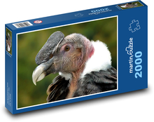 Kondor - pták, dravec Puzzle 2000 dílků - 90 x 60 cm