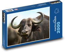 Byvol - rohy, dobytok Puzzle 2000 dielikov - 90 x 60 cm