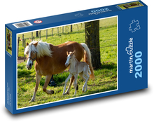 Stute - Fohlen, Pferd Puzzle 2000 Teile - 90 x 60 cm