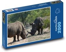 Nashörner - Tiere, Säugetiere Puzzle 2000 Teile - 90 x 60 cm