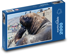 Sea lion - animal, sea creature Puzzle 2000 pieces - 90 x 60 cm