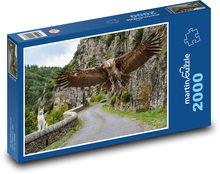 Kondor - mačka, zviera Puzzle 2000 dielikov - 90 x 60 cm