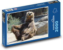Medvěd - zoo, zvíře Puzzle 2000 dílků - 90 x 60 cm